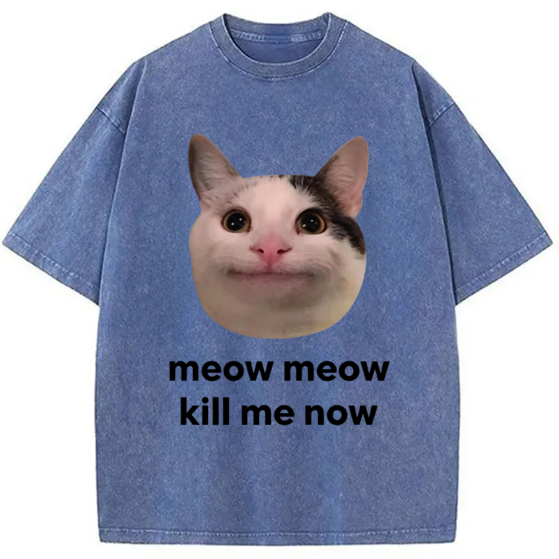 Modecanvas Meow Meow Kill Me Now Polite Cat Meme DTG Printing Washed T-Shirt
