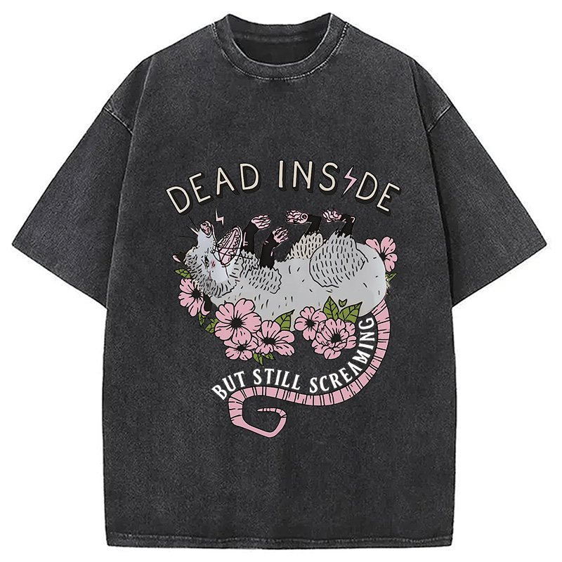 Modecanvas Dead Inside Washed T-Shirt
