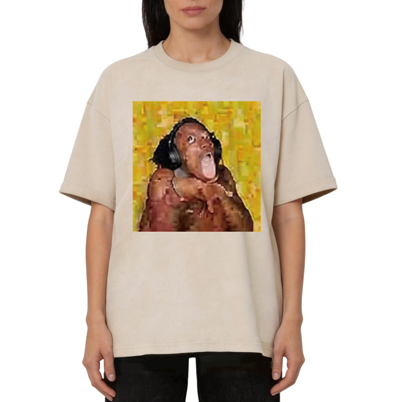 Modecanvas Funny Brainrot Reaction Meme DTG Printing Washed T-Shirt