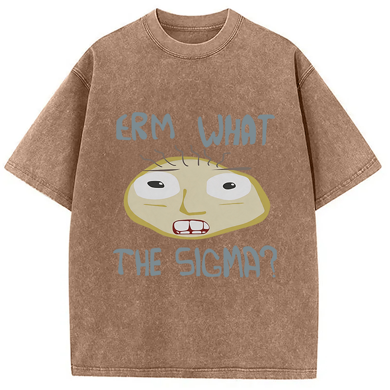 Modecanvas Erm What the Sigma Meme DTG Printing Washed T-Shirt