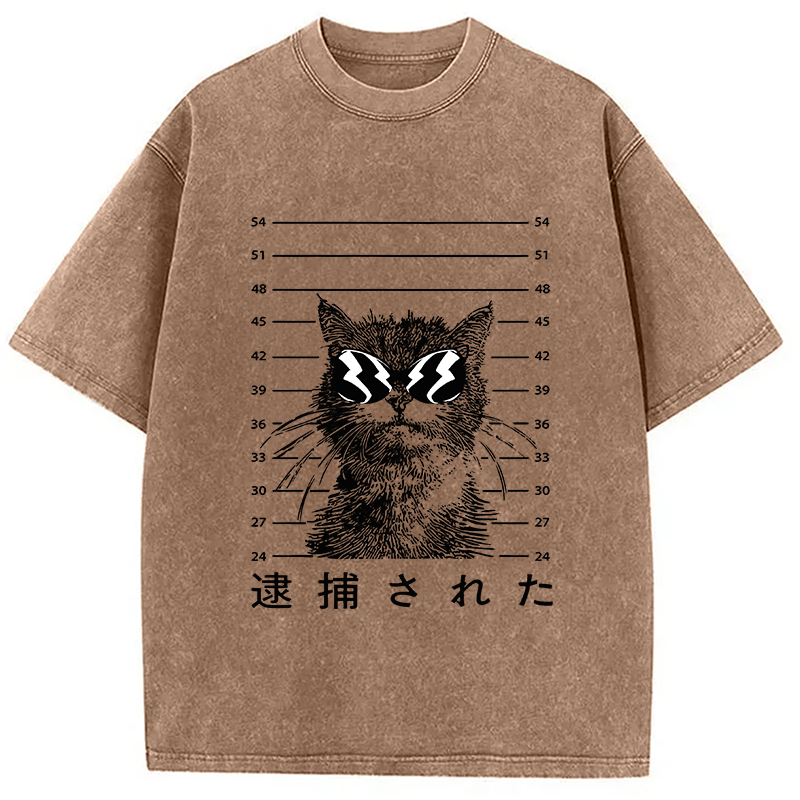 Modecanvas Cat Was Arrested  Washed T-Shirt