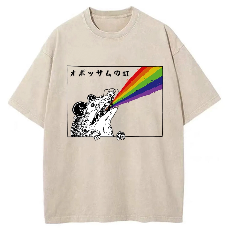 Modecanvas Opossum Rainbow Washed T-Shirt