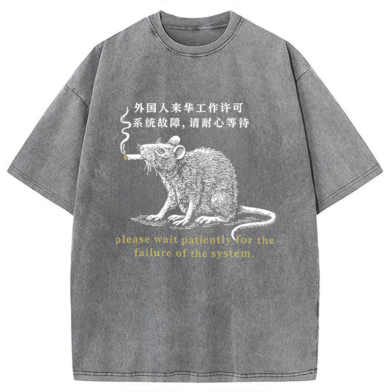 Modecanvas Travel Permit Washed T-Shirt