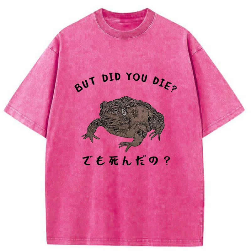 Modecanvas Question From Frog Funny Washed T-Shirt
