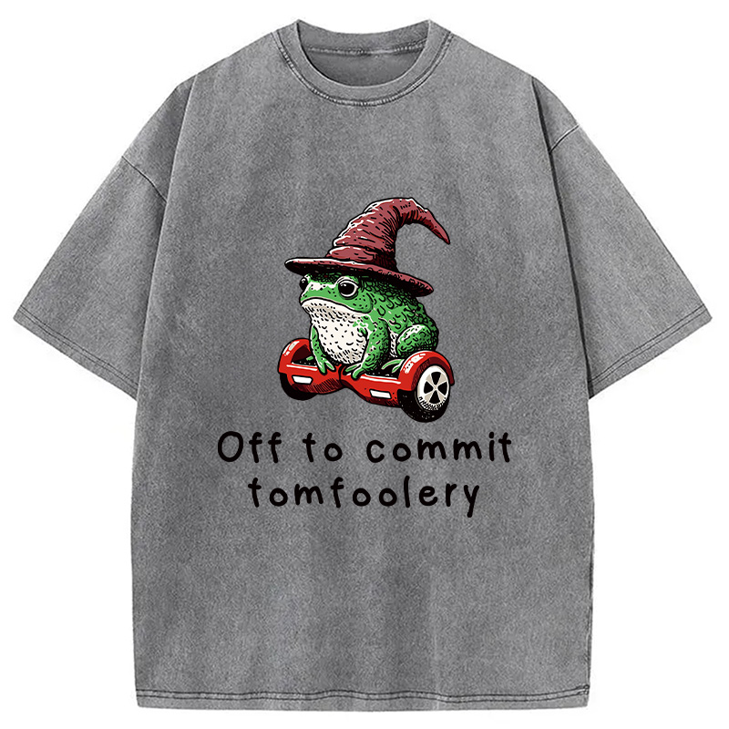Modecanvas Japanese Frog Riding A Balance Scooter Washed T-Shirt
