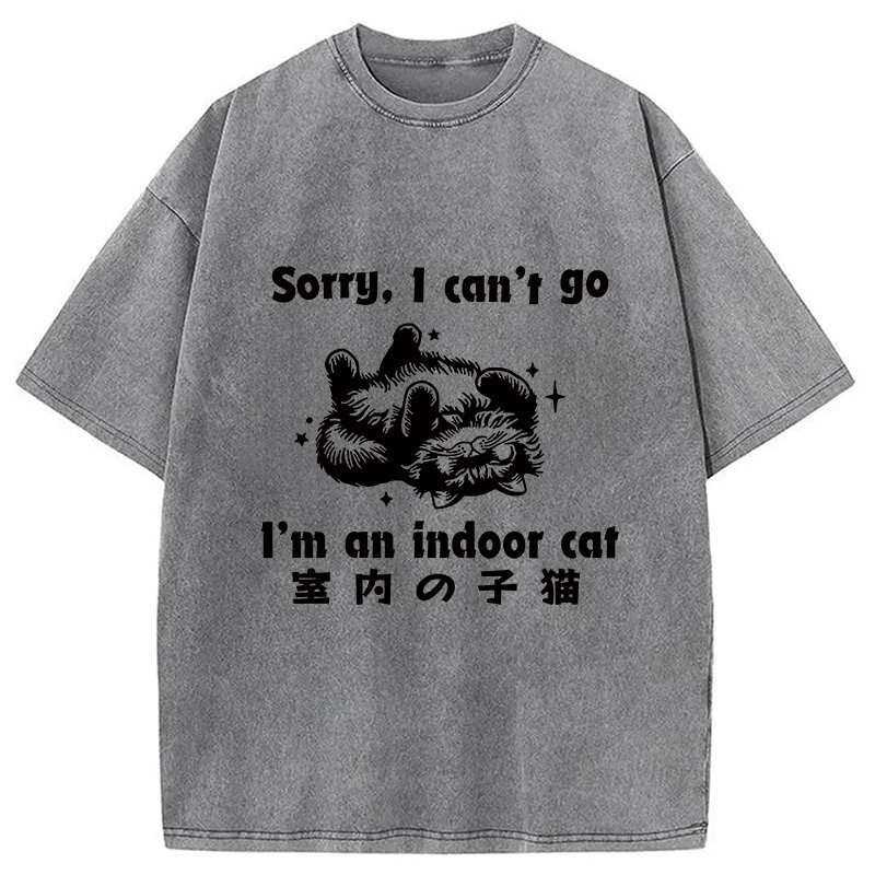 Modecanvas House Cat Washed T-Shirt