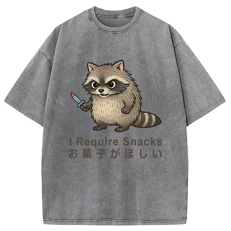 Modecanvas Raccoons Need Snacks Funny Washed T-Shirt