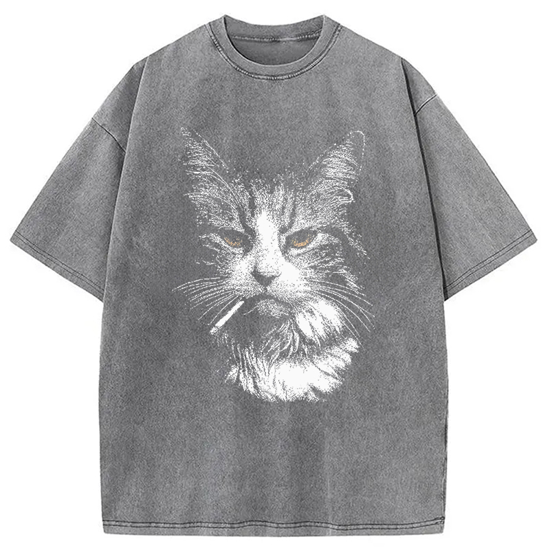 Modecanvas Cool Cat Smoking Meme DTG Printing Washed T-Shirt-modecanvas