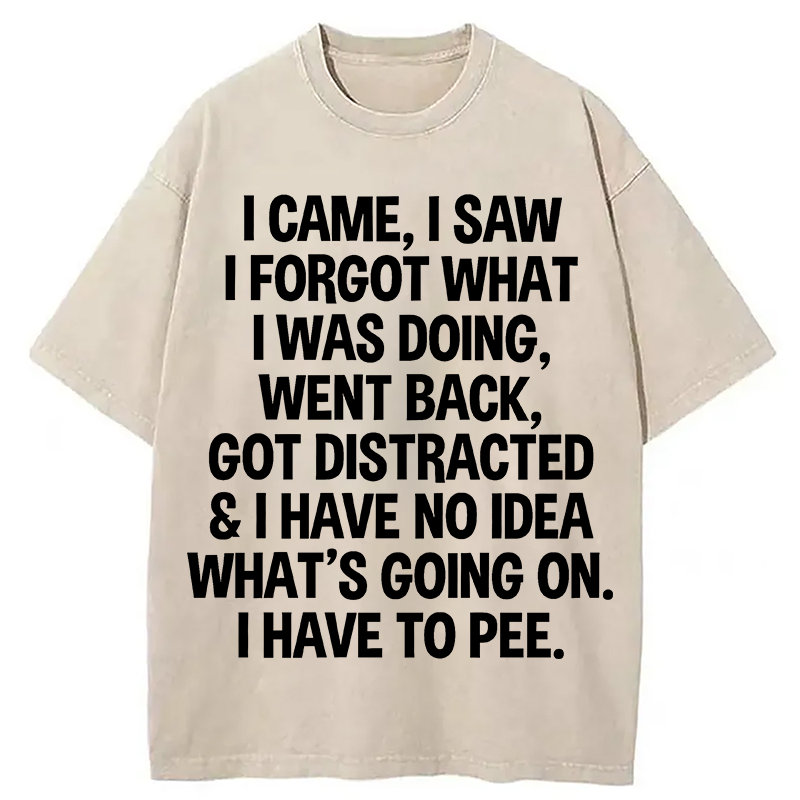 Modecanvas I Came I Saw I Forgot What I Was Doing DTG Printing Washed T-Shirt