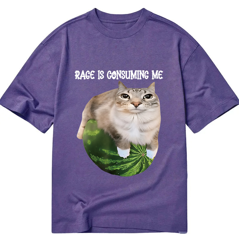 Modecanvas Rage Is Consuming Me Cat Meme DTG Printing Classic T-Shirt-modecanvas