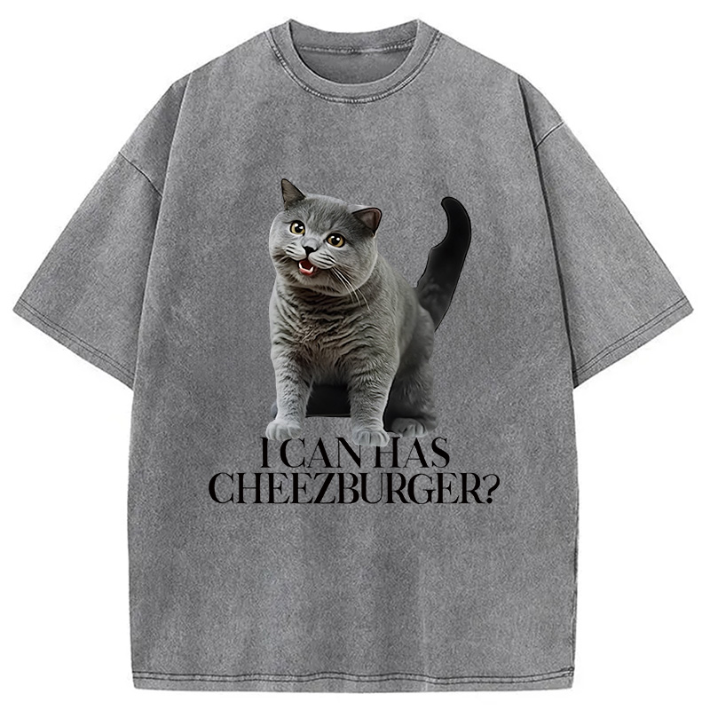 Modecanvas I Can Has Cheezburger Washed T-Shirt