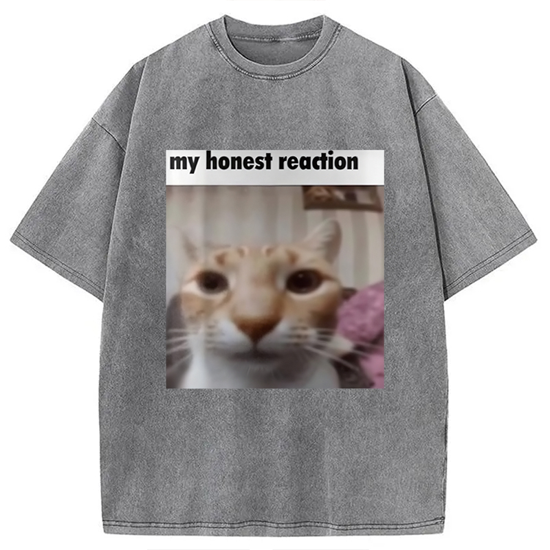 Modecanvas My Honest Reaction Cat Meme Washed T-Shirt