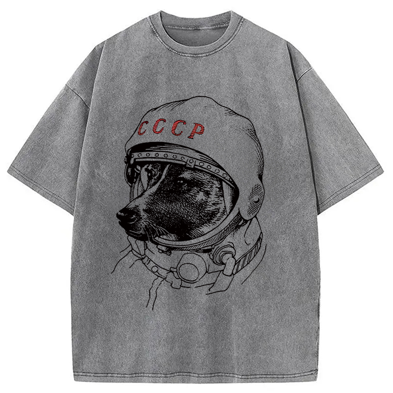 Modecanvas Astro Dog Washed T-Shirt