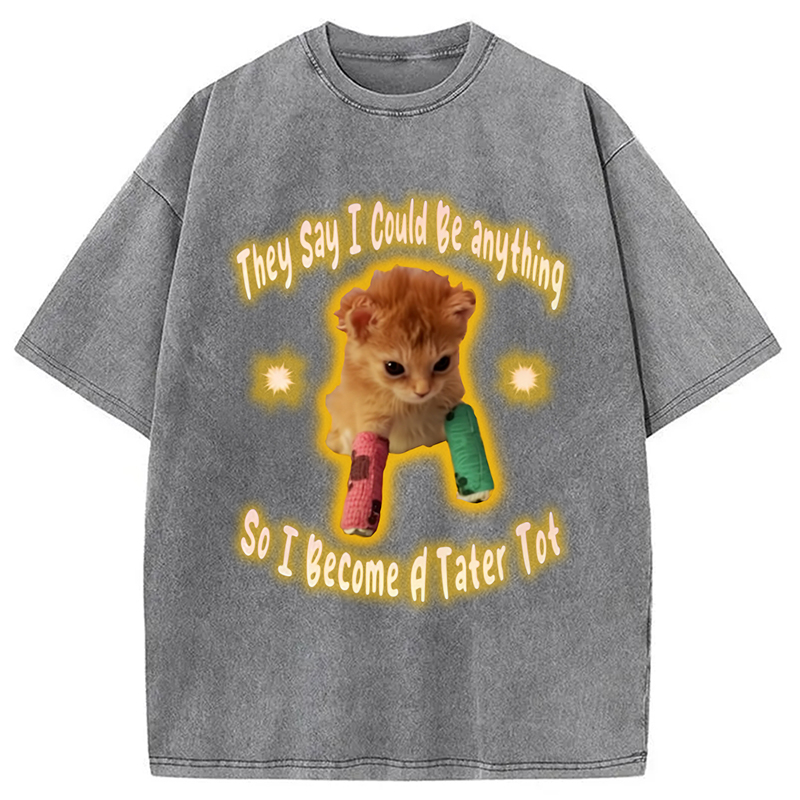 Modecanvas Tater Tot Cat Funny Meme Washed T-Shirt