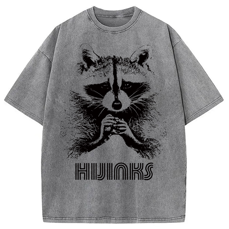 Modecanvas Raccoon Hijinks Washed T-Shirt