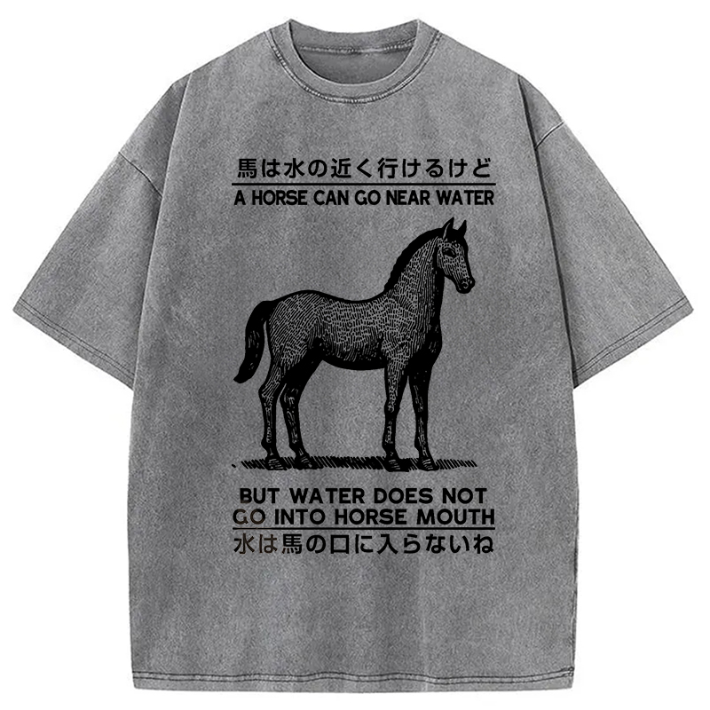 Modecanvas Funny Horse And Water Saying Washed T-Shirt