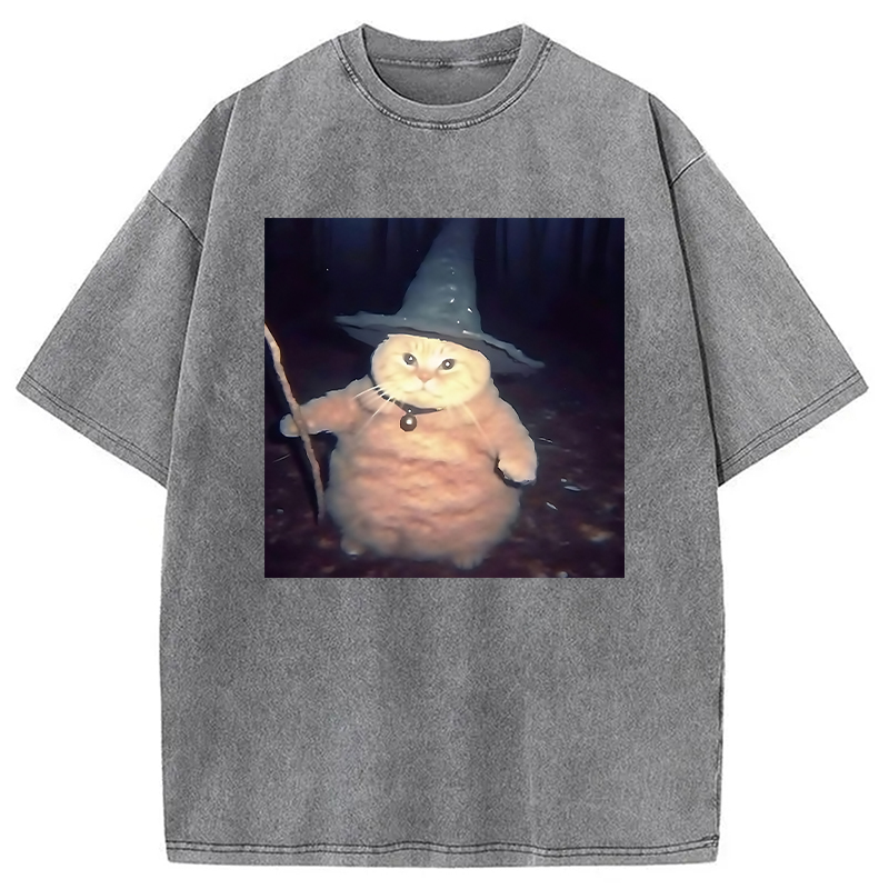 Modecanvas Wizard Cat Funny Halloween Washed T-Shirt-modecanvas