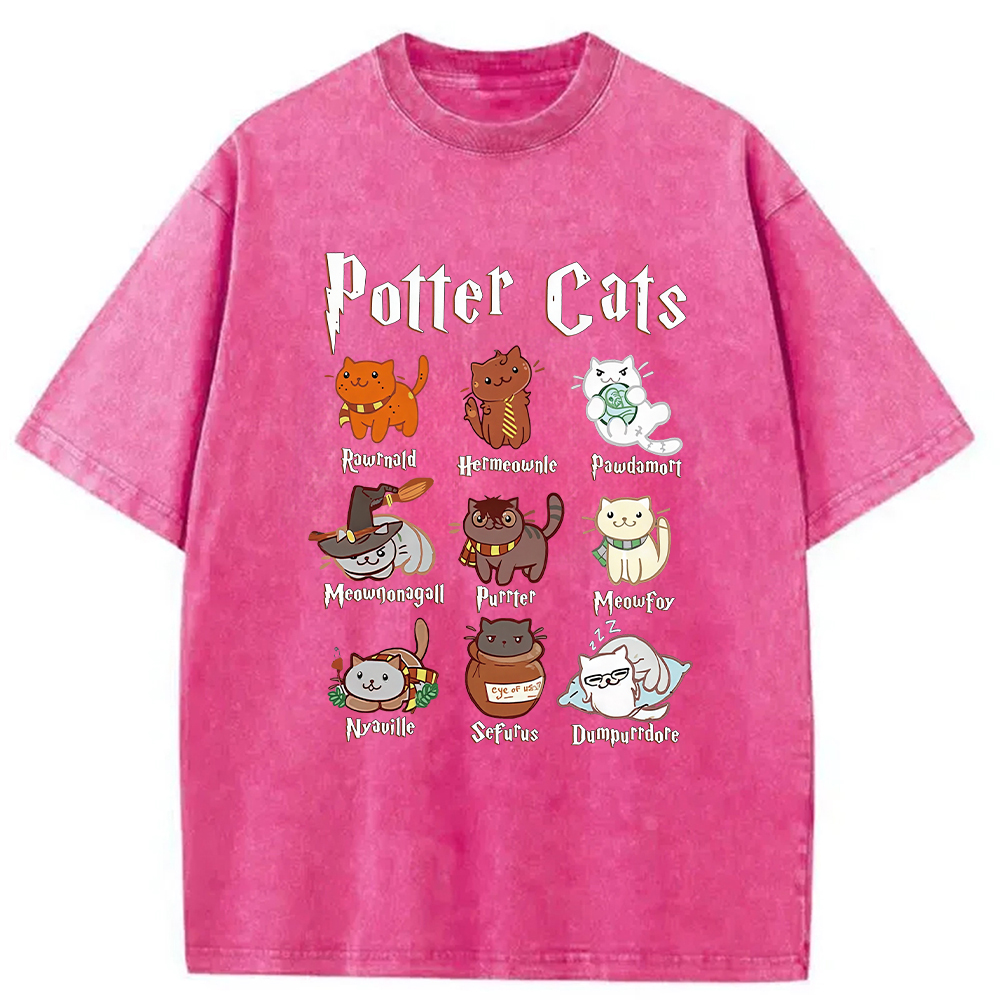 Modecanvas Wizard Cats Washed T-Shirt