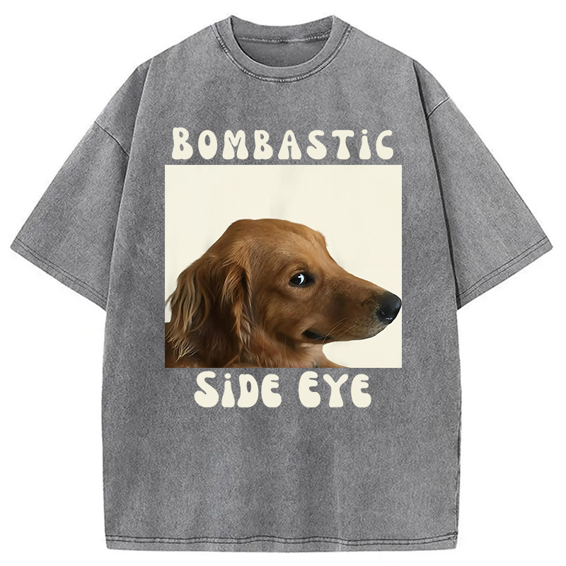 Modecanvas Bombastic Side Eye Funny Dog Meme Washed T-Shirt