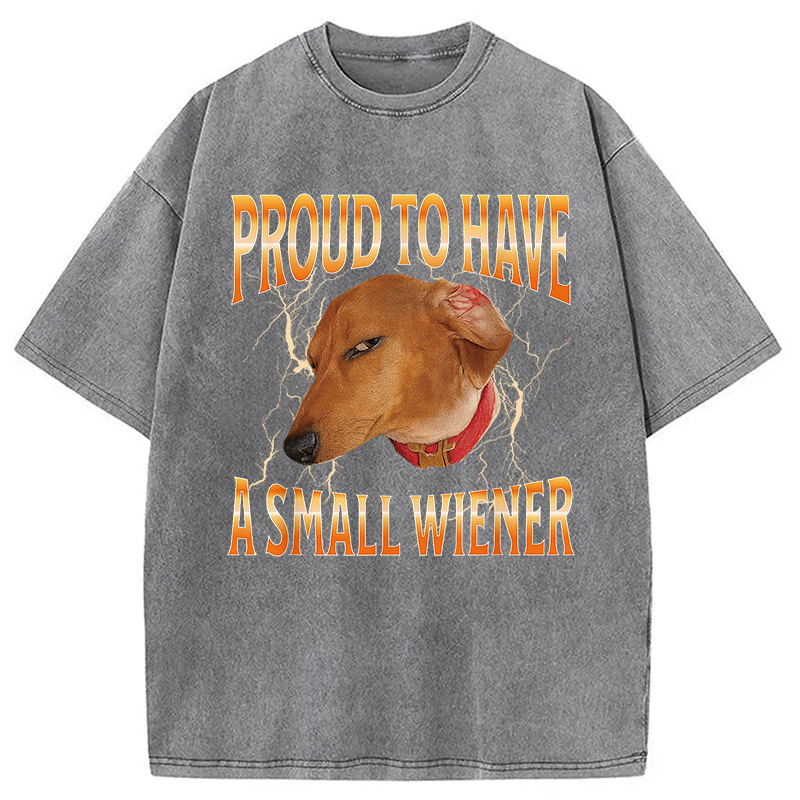 Modecanvas Funny Dog Meme Washed T-Shirt