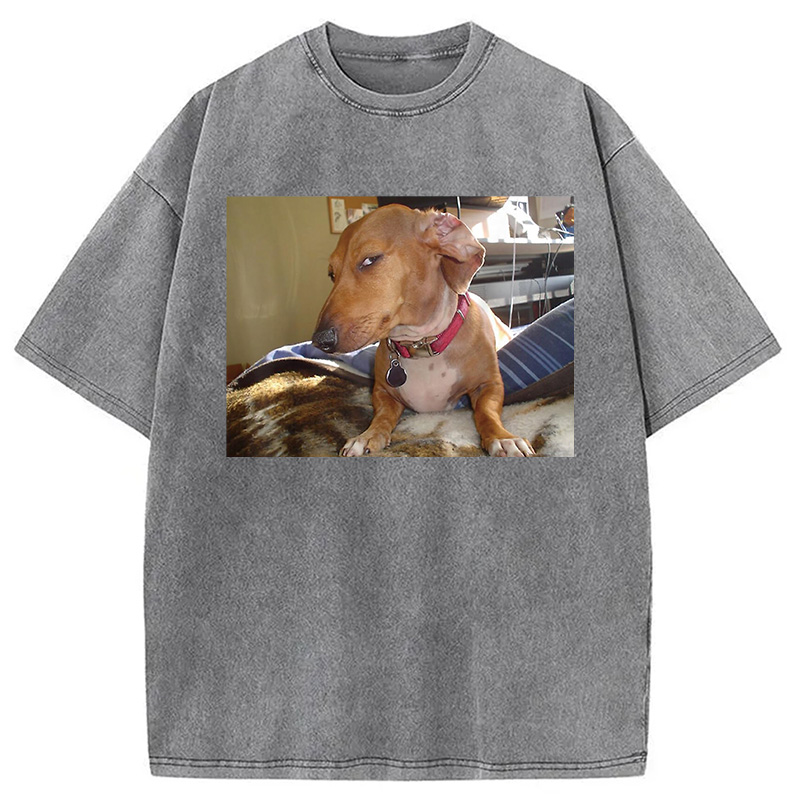 Modecanvas Side Eye Dog Meme Washed T-Shirt