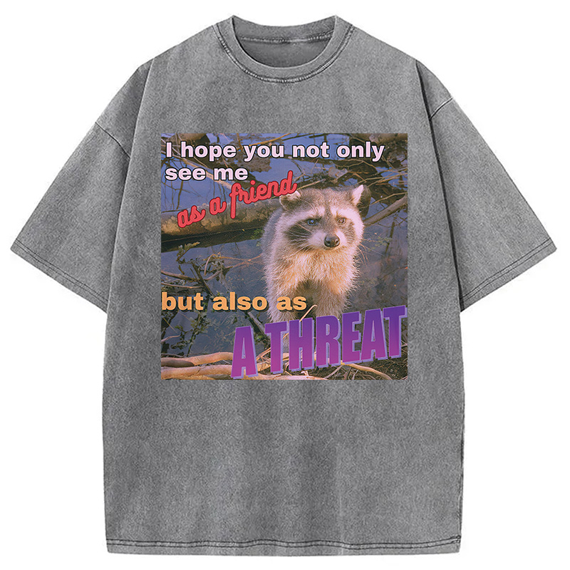 Modecanvas Viral Raccoon Meme Washed T-Shirt