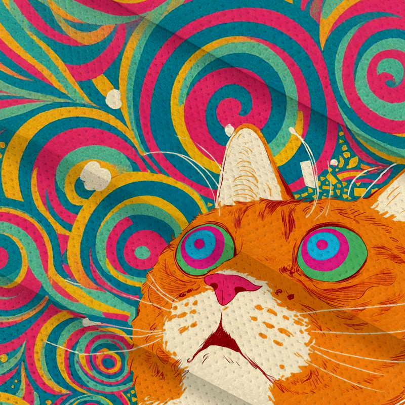 Modecanvas Colorful Cat Jersey Short