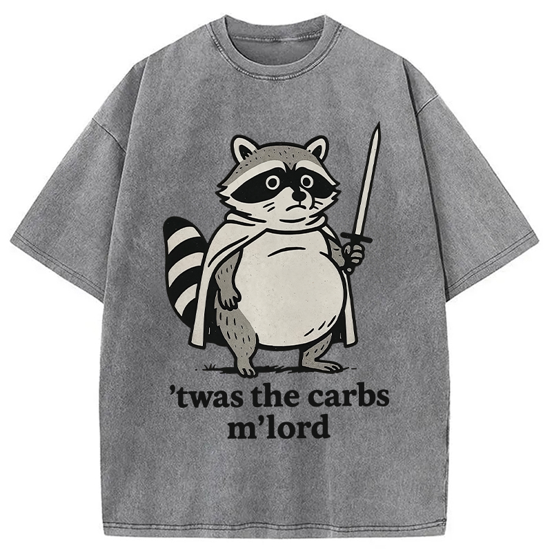 Modecanvas Fat Raccoon Sword Humor Washed T-Shirt