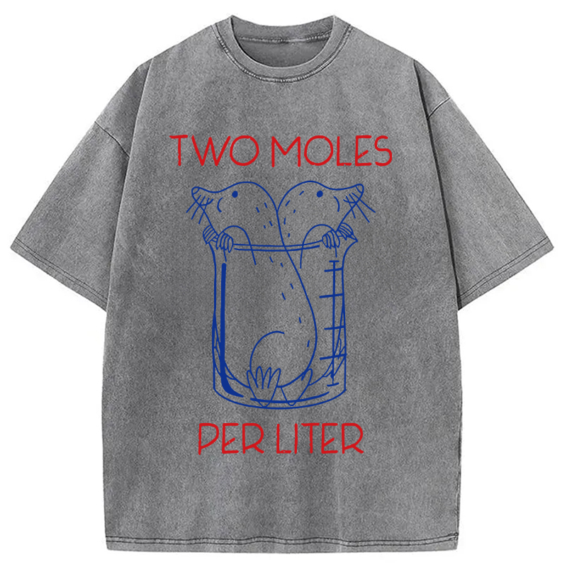 Modecanvas Two Moles Per Liter Washed T-Shirt