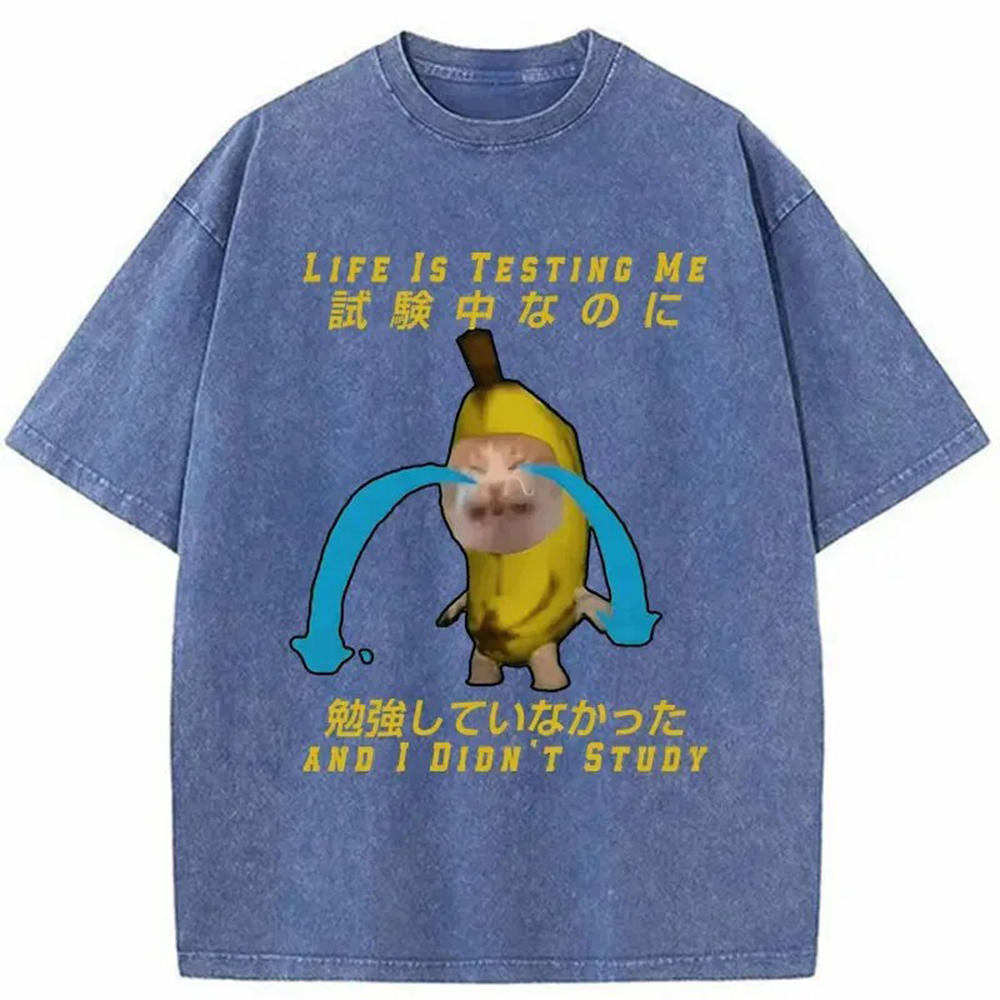 Modecanvas Cat Forced By Life Washed T-Shirt