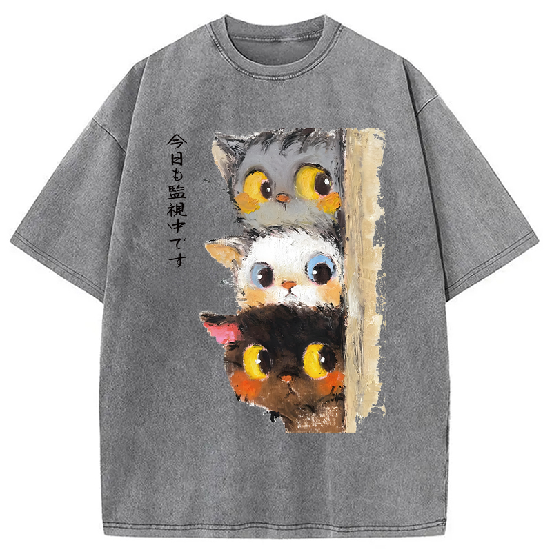 Modecanvas Three Cats Secretly Monitor Washed T-Shirt