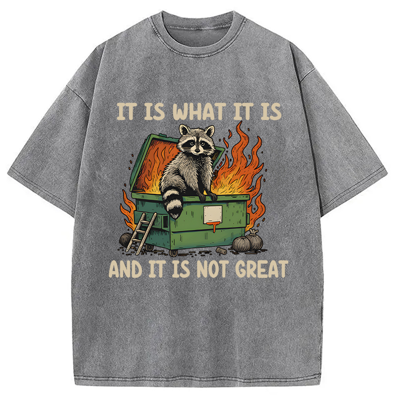 Modecanvas It Is What It Is Dumpster Fire Funny Raccoon Meme Washed T-Shirt