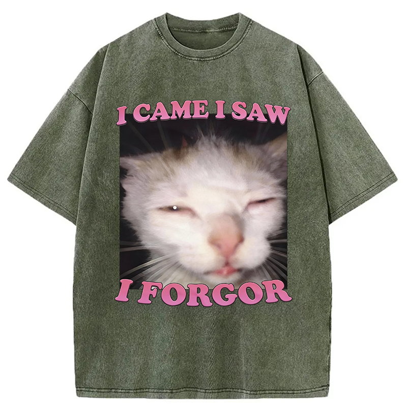 Modecanvas I Forgor Funny Cat Meme Washed T-Shirt-modecanvas
