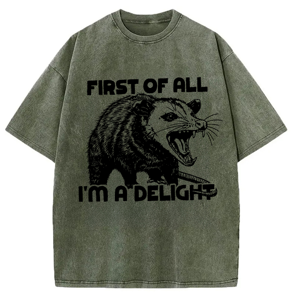 Modecanvas First of All Possum Washed T-Shirt