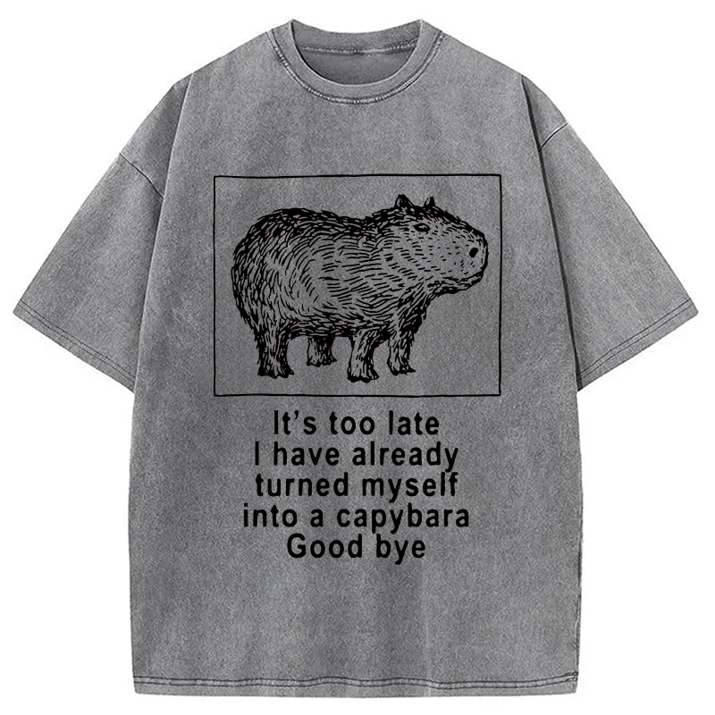 Modecanvas I Have Turned Myself Into A Capybara Washed T-Shirt-modecanvas