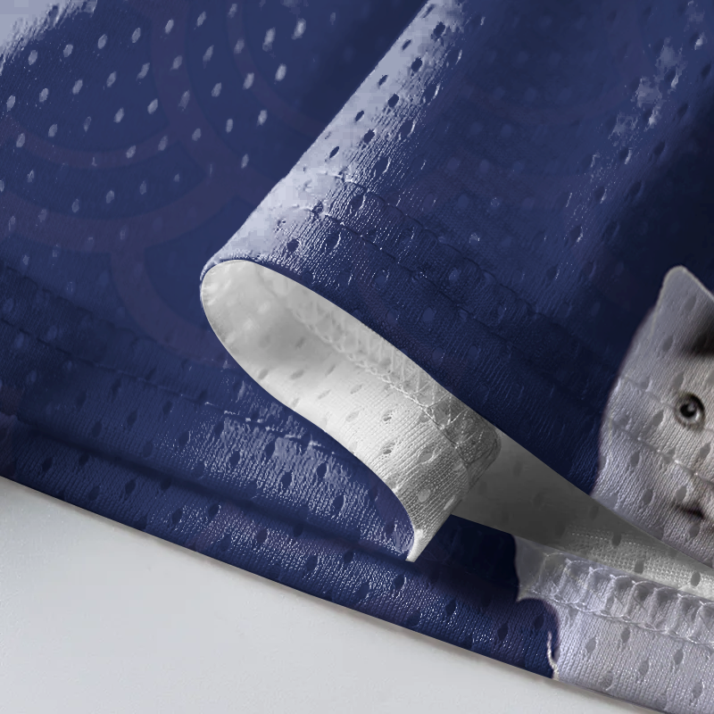 Modecanvas Huh Cat Chonky Ben Meme Mesh Jersey-modecanvas