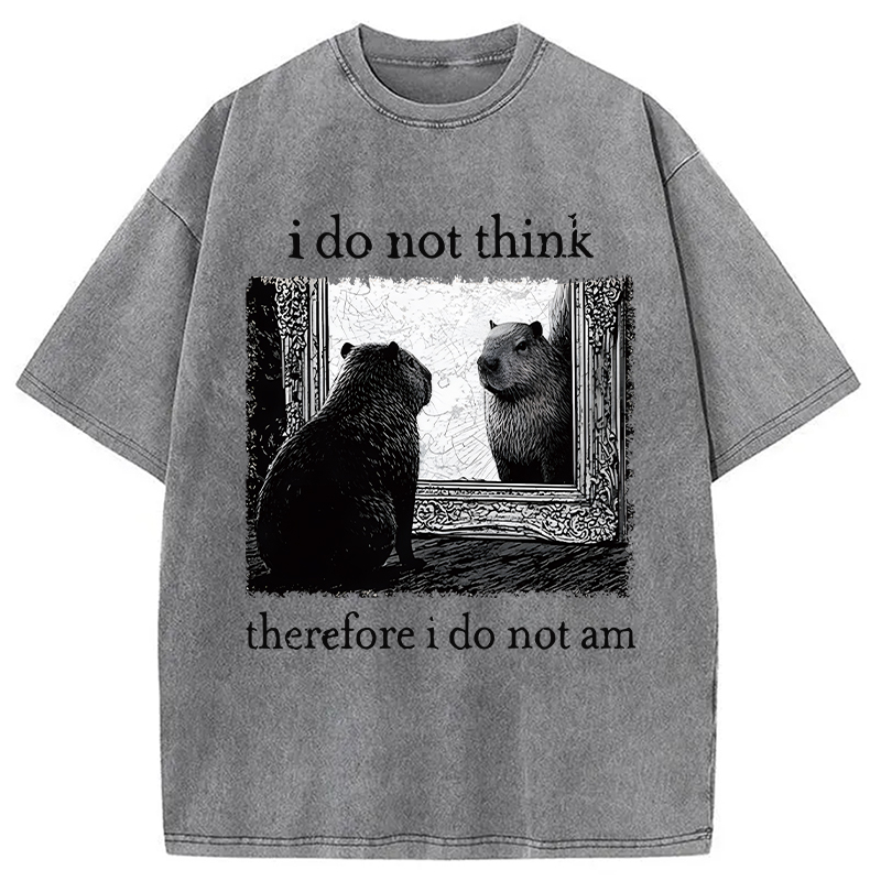 Modecanvas Capybara Paradox Washed T-Shirt