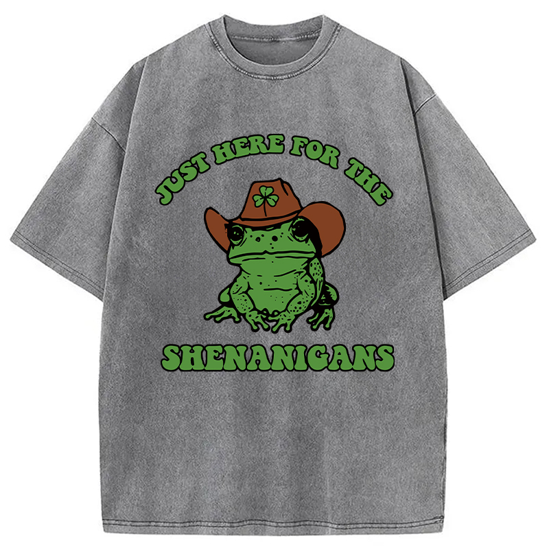 Modecanvas Here for the Shenanigans Washed T-Shirt