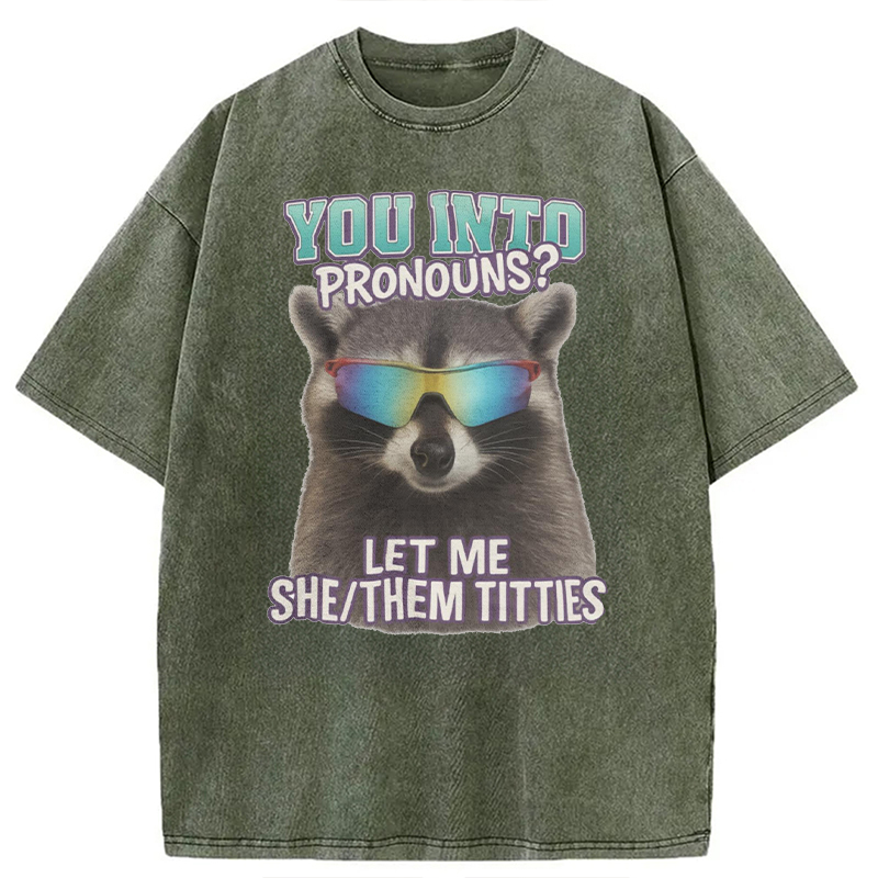 Modecanvas You Into Pronouns? Let Me She/Them Titt*es Raccoon DTG Printing Washed T-Shirt