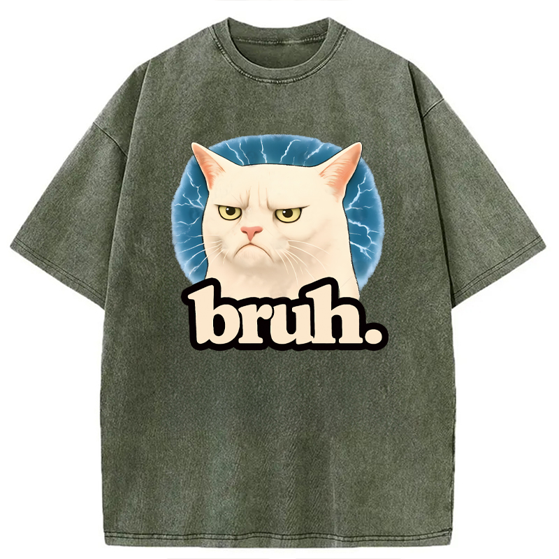 Modecanvas Bruh Cat Meme DTG Printing Washed T-Shirt
