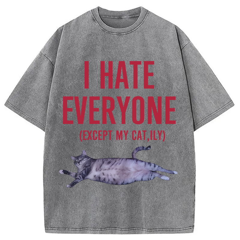 Modecanvas I Hate Everyone Cat Washed T-Shirt