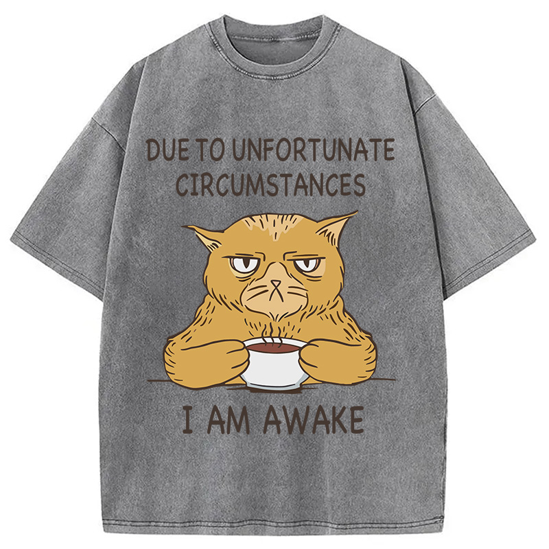 Modecanvas I Am Awake Cat Meme DTG Printing Washed T-Shirt