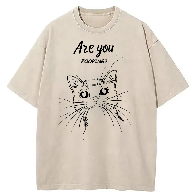 Modecanvas Black Cat Are You Pooping DTG Printing Washed T-Shirt