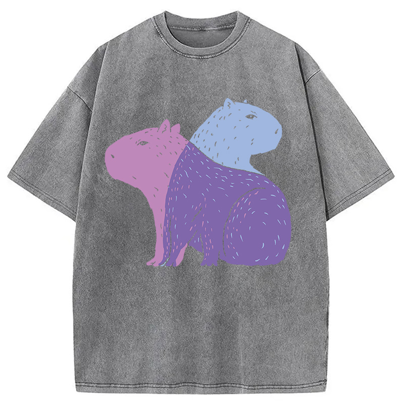 Modecanvas Double Capybaras DTG Printing Washed T-Shirt