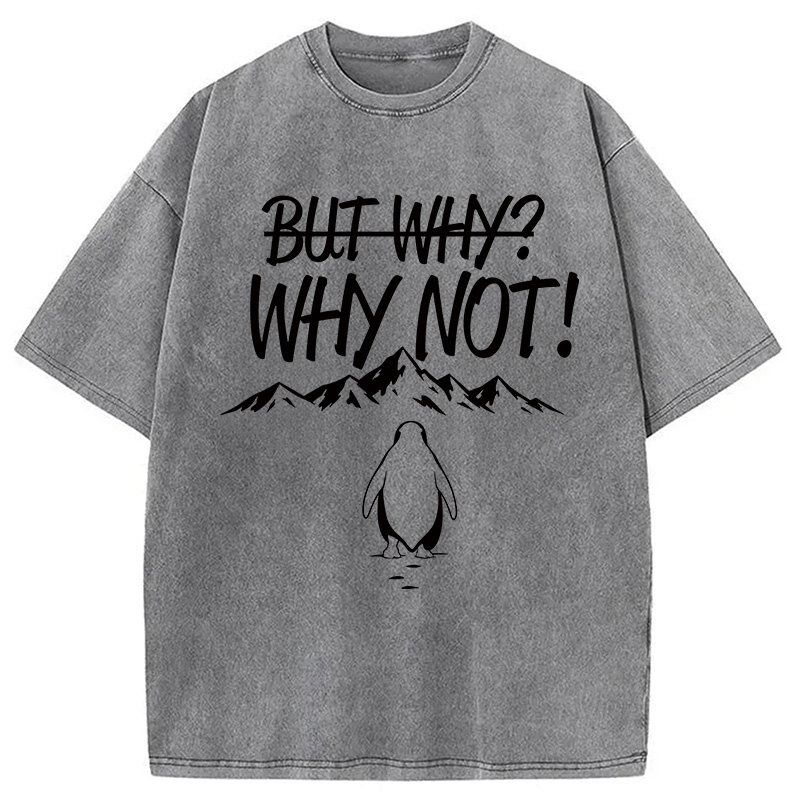 Modecanvas But Why/Why Not Penguin Meme DTG Printing Washed T-Shirt
