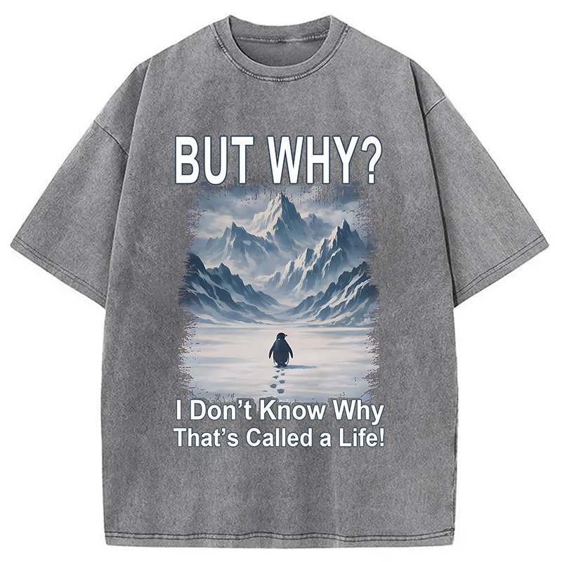 Modecanvas But Why Mountain Nihilist Penguin DTG Printing Washed T-Shirt-modecanvas