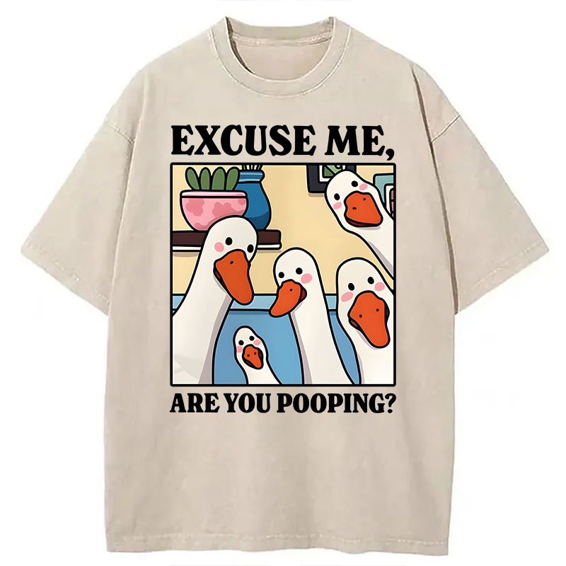Modecanvas Are You Pooping Goose Meme DTG Printing Washed T-Shirt-modecanvas