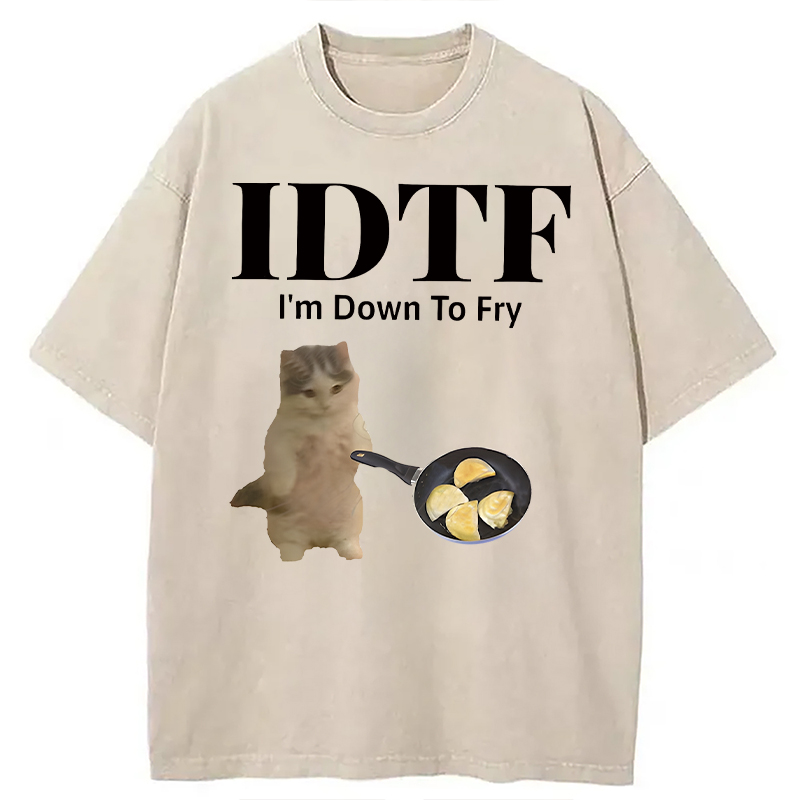 Modecanvas IDTF Pierogi DTG Printing Washed T-Shirt-modecanvas