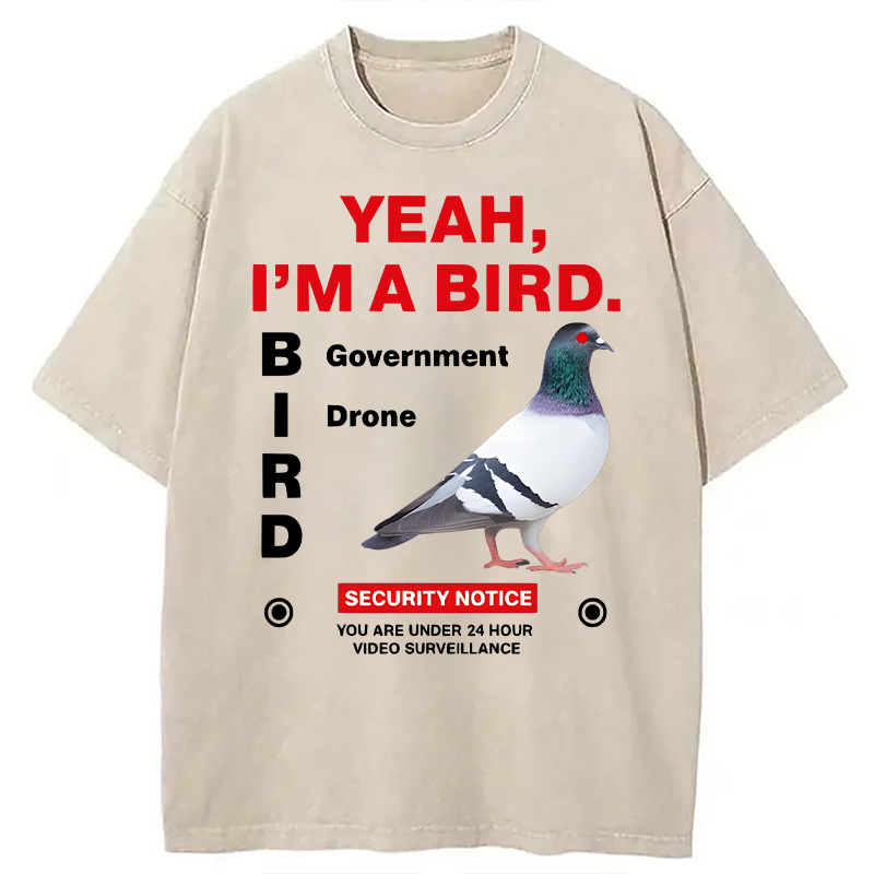 Modecanvas Government Funny Pigeon Puns DTG Printing Washed T-Shirt-modecanvas