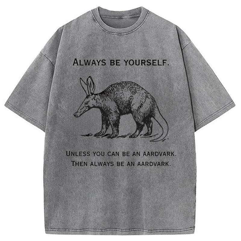 Modecanvas Always Be Yourself Meme DTG Printing Washed T-Shirt-modecanvas